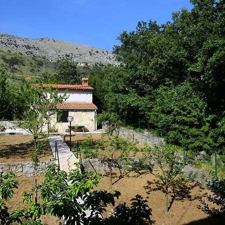 Quiet House With Garden Tatil Evi